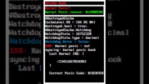 Android Kernel Panic!