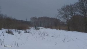 Лыжи с мотором. Аэросани. Буксировщик лыжника.