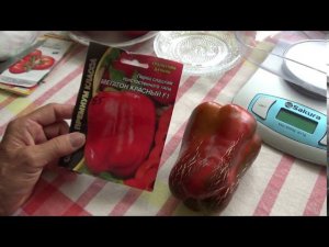 Красный сладкий перец Мегатон.