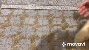 Манты с картошкой и салом. Еда для настоящих мужчин.
