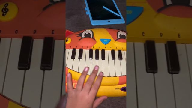 Hand’s cat￼piano