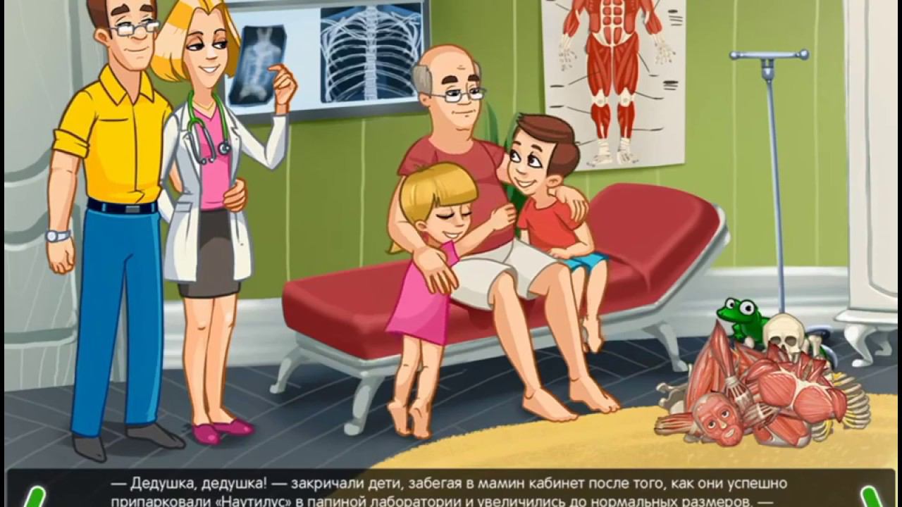 Почки: Строение и функции почек. Для детей