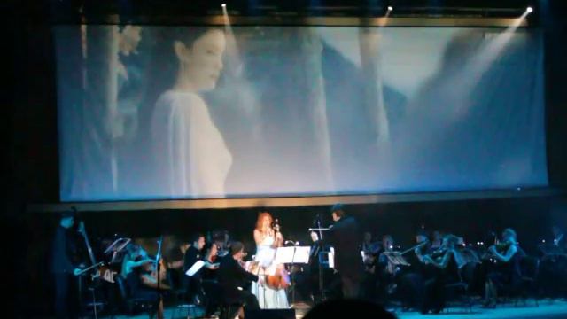 The Lord of the Rings. Symphonic orchestra (Властелин колец. Симфонический оркестр) смотреть онлайн