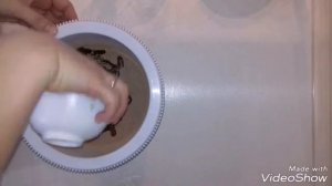 Шоколадный торт на раз, два, три  ( Энди Шеф ) ? самый простой и очень вкусный рецепт