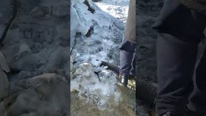 Баня из блоков пенополистирола