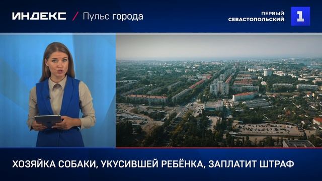 Хозяйка собаки, укусившей ребёнка, заплатит штраф