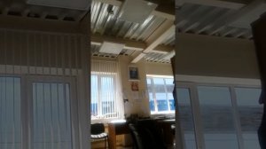 Ласточки в поисках места для гнезда