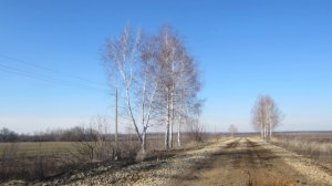 Орловская область,Покровский район!