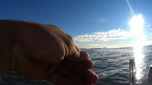 РЫБАЛКА НА ОБСКОМ ВОДОХРАНИЛИЩЕ. РЫБАЛКА НА СПИНИНГ. РЫБАЛКА НА ОВХ.