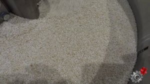 Жарка кунжута MS -10