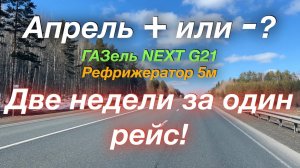 Апрель в плюс или в минус? ГАЗель NEXT G2,5 Рефрижератор 5м