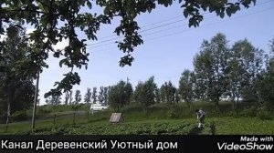 Подкормка картофеля перед цветением