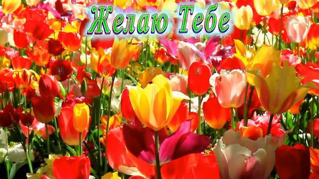 С Днём Рождения Лара смотреть онлайн