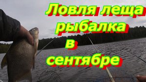 Ловля леща в сентябре, рыбалка с лодки на поплавочную удочку!!!