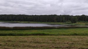 Михайловское. Июль, 2022 г.