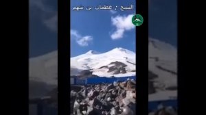 Араб, о Карачаевской породе лошадей ?️?