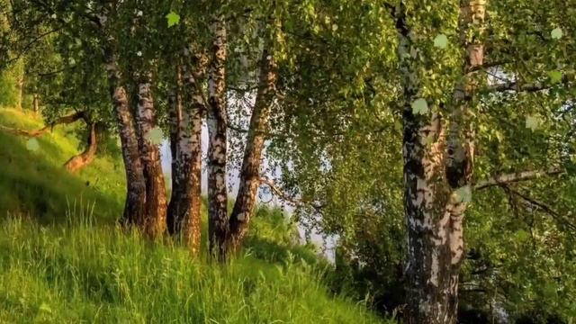 Риваль Хисматуллин- Сабыр итэм. Жырнын авторы Ирек Габдрахманов.