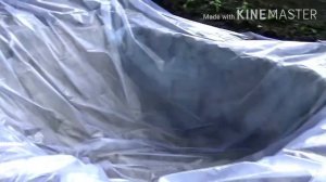 пруд своими руками за один день