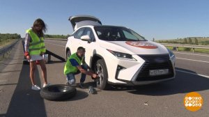 Едем в Сочи. Ни дня без приключений! Доброе утро. Фрагмент выпуска от 31.07.2019