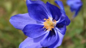 Евангелие от Филиппа.mp4