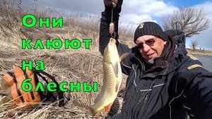 РЫБАЛКА на ВОЛГЕ. День ПЕРВЫЙ. Ловим по ЕРИКАМ.