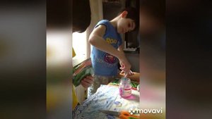 Как правильно приготовить семена огурцов к посадке