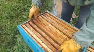 Как и когда ставить корпуса Рут