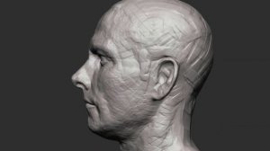 Sculpting a Realistic Head in Zbrush - Zbrush Timelapse