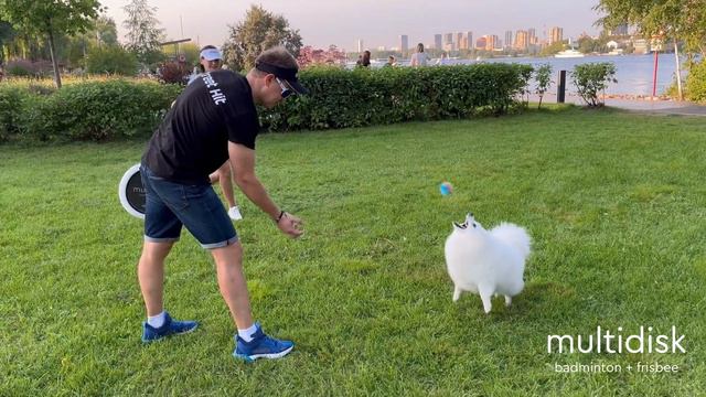 Набор для игры Мультидиск Mini (Бадминтон+Фрисби), оранжево-голубой смотреть онлайн