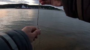 ЭТОТ МОНСТР ЧУТЬ УДОЧКУ НЕ УТАЩИЛ! Ночная рыбалка на Иртыше.