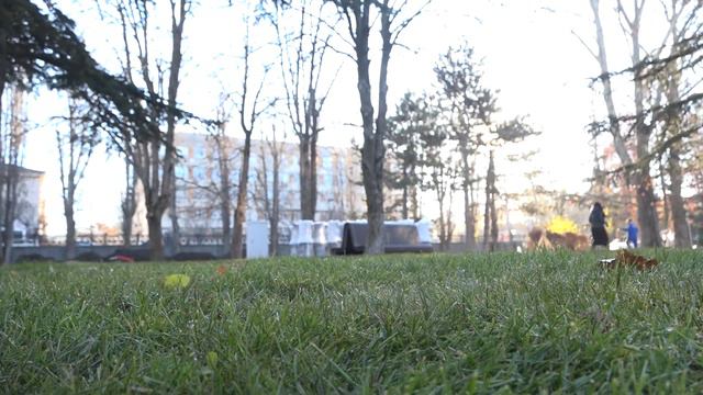 Выезд на общественные территории