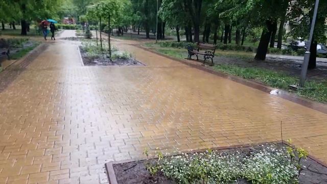 Парки, скверы во время весеннего дождя смотреть онлайн