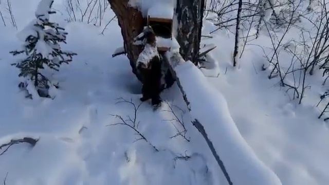 Проверка путика кд 140. смотреть онлайн