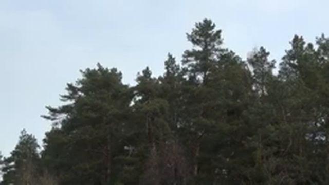 Сплав по р. Меза (Бычиха-Еремейцево) 2022 г. смотреть онлайн