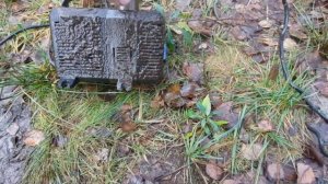 Тёплая лунка для зимнего пруда и форель с кошками