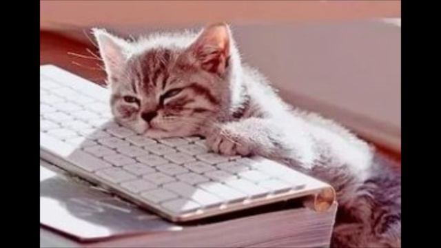 ГЛАВНАЯ причина проблем Ван Писа смотреть онлайн