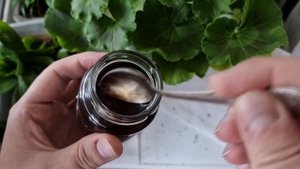 Герань с роду так не цвела! Рецепт подкормки для пышного цветения всех цветов!