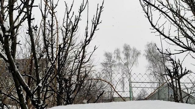 Что делать, когда на вашу любовь не отвечают взаимностью.