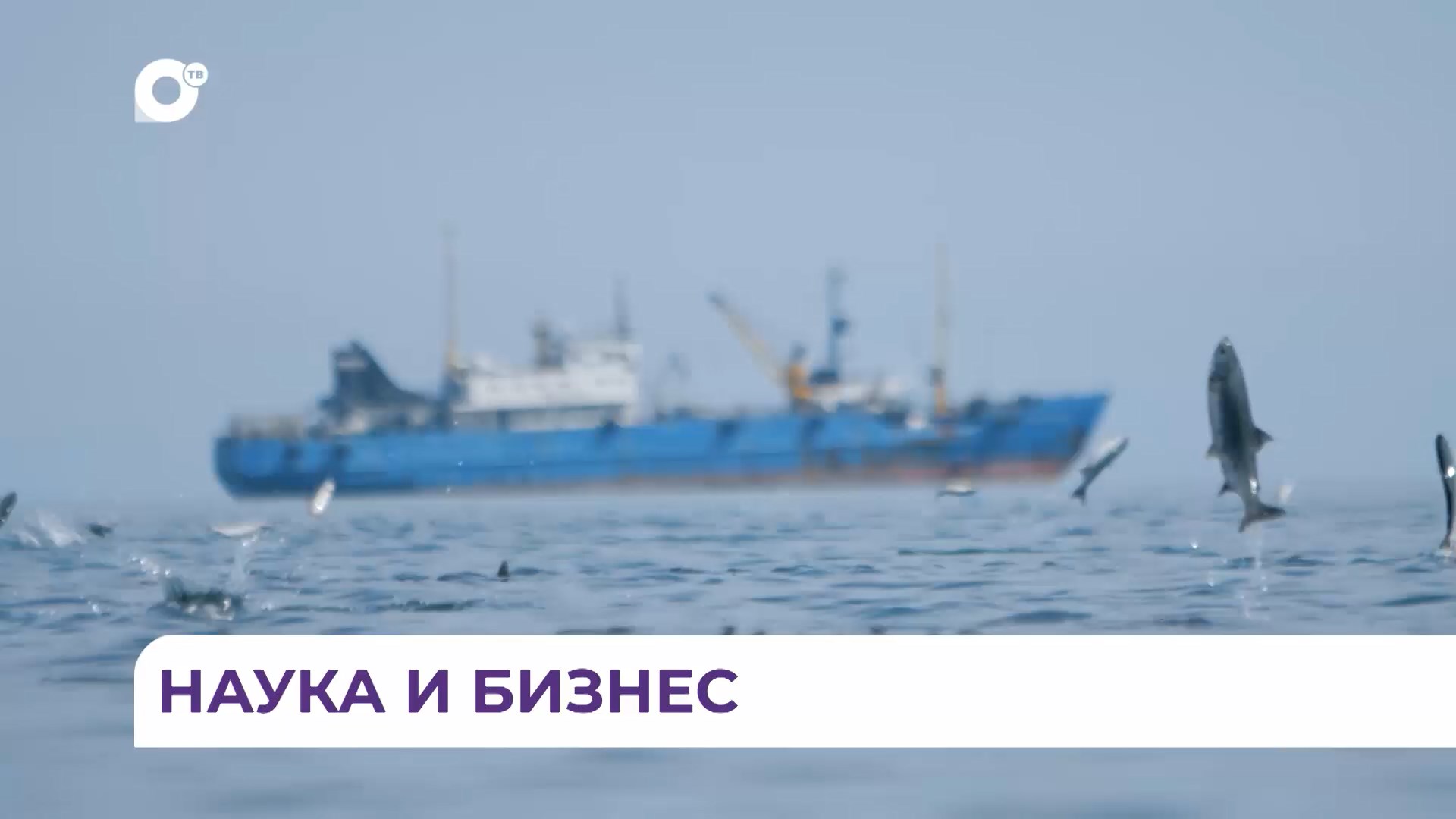 Отв пр. Корякморепродукт Владивосток. Корякморепродукт вахта. Корякморепродукт логотип