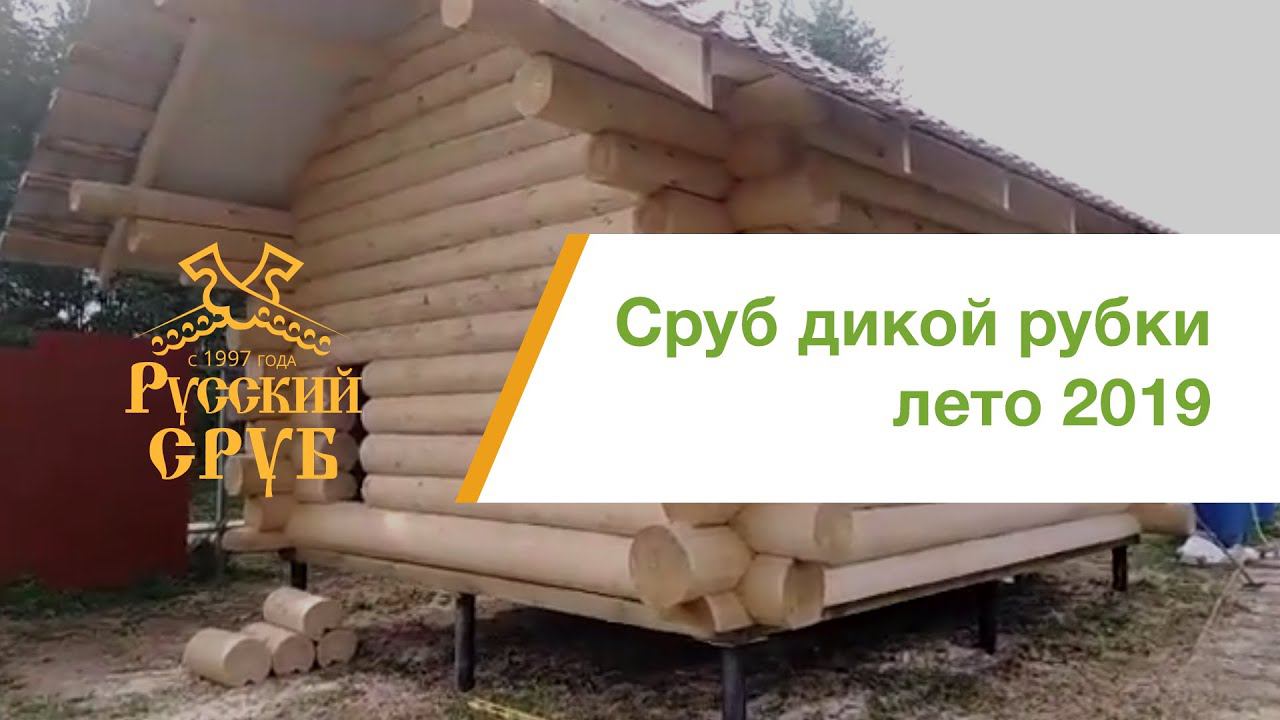 Сруб бани в "диком" стиле смотреть онлайн