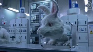 Кролик Ральф .🐰 Эмм...я...я Кролик 💔😔(Русская озвучка) до слёз🥺