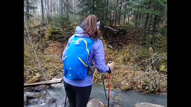 Кольцо-24. 12 часов. Генная инженерия смотреть онлайн