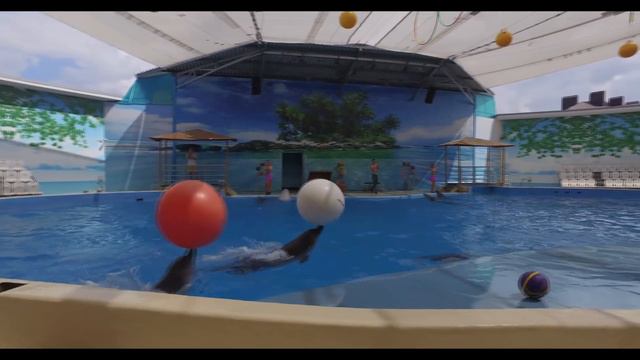 Океанариум Анапы смотреть онлайн