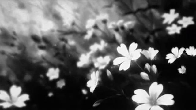 🇦🇿 Nigar Jamal ft. ELDAR — 10 İl Sonra slowed reverb [AZ] смотреть онлайн