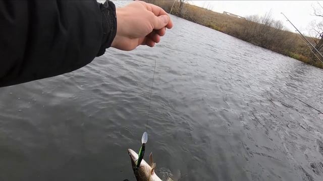 Спиннинг в ноябре! смотреть онлайн