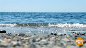 Курортное лето - 2021: тесты, справки и кешбэк. Доброе утро. Фрагмент выпуска от 01.06.2021