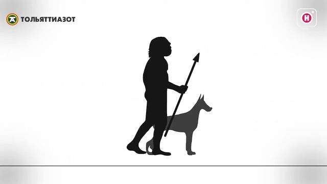 Доместикация лис смотреть онлайн