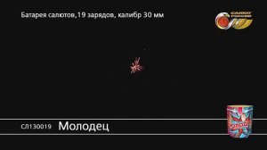 СЛ130019 Молодец