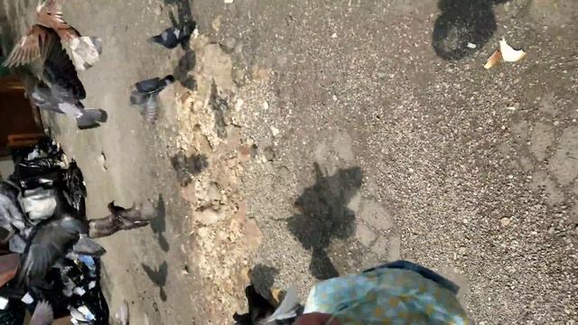 Будущая еда смотреть онлайн