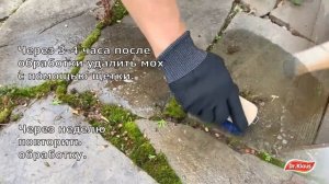 Как избавиться от мха на дачном участке. Лучшее средство от мха Dr.Klaus